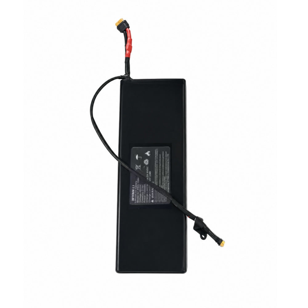 Tooins X2 Official Battery | 48V 21Ah | Brand New for Replacement